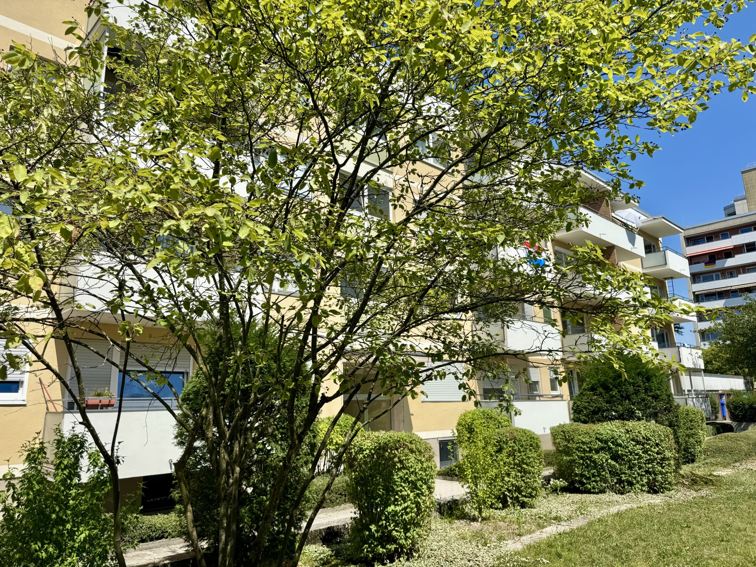 - VERKAUFT - Praktisches Single-Appartement mit Westloggia